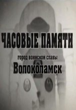 Часовые памяти. Город воинской славы Волоколамск (2015)