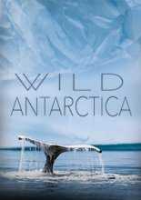 Дикая Антарктида / Wild Antarctica (2015)