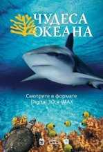 Чудеса океана 3D / Ocean Wonderland (2003)