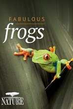 BBC. Потрясающие лягушки / BBC. Fabulous Frogs (2014)