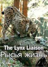 Рысья жизнь / The Lynx Liaison (2010)