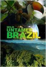 National Geographic. Дикая Бразилия / Wild Untamed Brazil (2014)