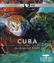 Куба. Случайный рай / Cuba. The Accidental Eden (2010)