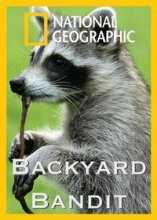 National Geographic. Нашествие енотов / National Geographic: Raccoon. Backyard Bandit (2014)