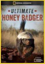 National Geographic. Жизнь одного медоеда / National Geographic. Ultimate Honey Badger (2013)