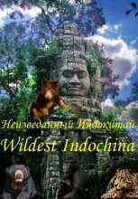 Discovery. Неизведанный Индокитай / Wildest Indochina (2014)