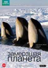 BBC. Замёрзшая планета (Застывшая планета) / Frozen planet (2011)