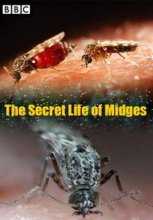 BBC: Тайная жизнь мошкары / The Secret Life of Midges (2015)