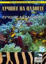 Animal Planet. Лучшее на планете (Лучшие аквариумы земли) / The best on the planet. Top Aquaria land (2007)