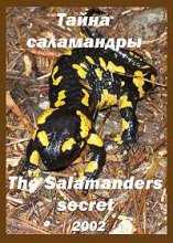 Тайна саламандры / The Salamander's secret (2002)